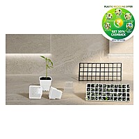 Jiffy Pot with Tray | 40 Cavity Seedling Starter Tray | Nursery Plant Starter| Seedlin Tray