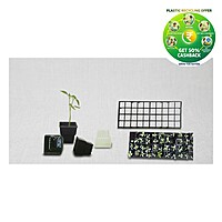 Jiffy Pot with Tray | 40 Cavity Seedling Starter Tray | Nursery Plant Starter| Seedlin Tray