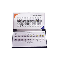 JJ Ortho Orthox Metal Bracket Kits – Orthodontic Brackets