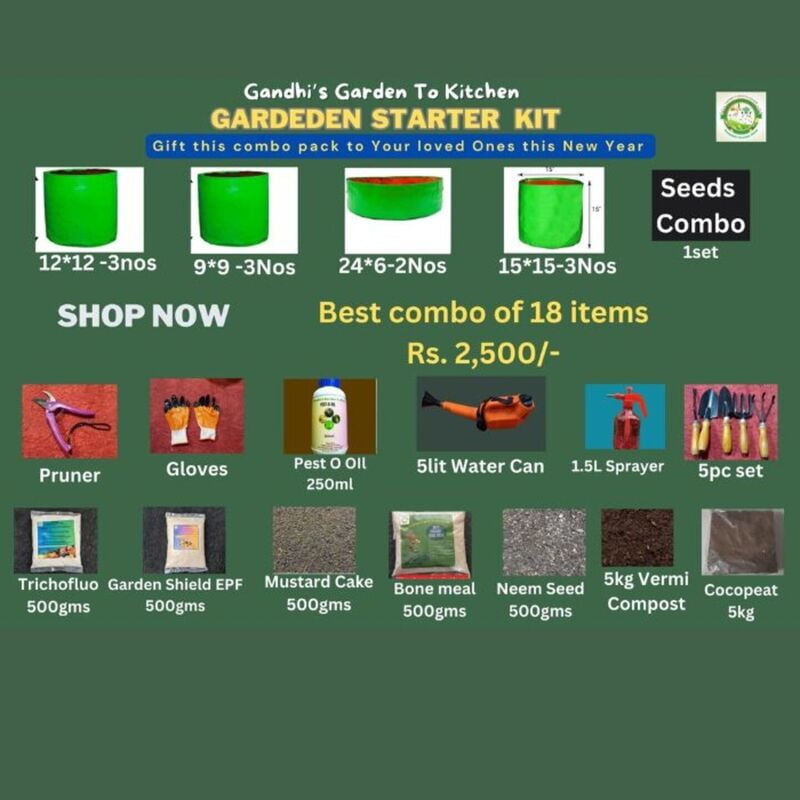 Terrace Garden Starter Kit | Vegetable Garden Starter Kit | Starter Kit for Perfect New Year Gift