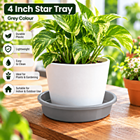 4 Inch Plastic Plant Tray | ECSHA