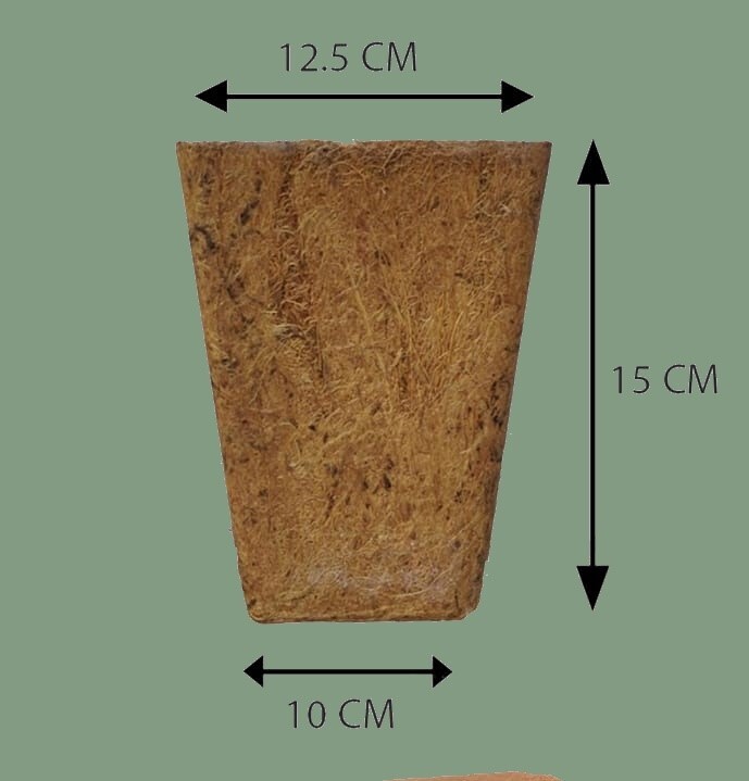 Coco June Pot | 12.5 cm Coir Planter | Natural Coconut Coir Pot