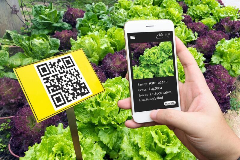 QR Code-Based Farm Produce Traceability System