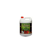 K Power | Potash mobilizing bacteria