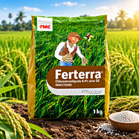 FMC Ferterra Insecticide | Vetrivel Agro Services