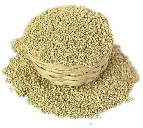 Kambu
(Pearlmillet)