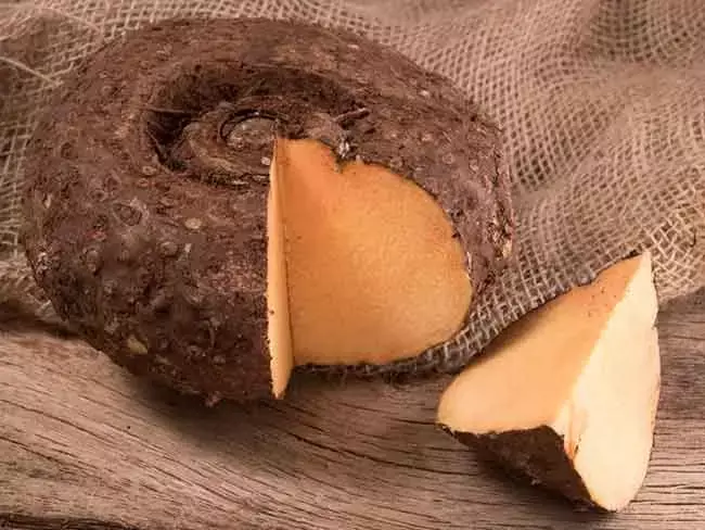 Karunai Kizhangu கருணைக்கிழங்கு