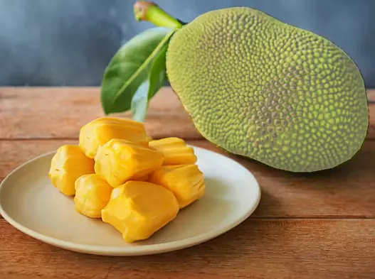 Jack Fruit (Kathal)