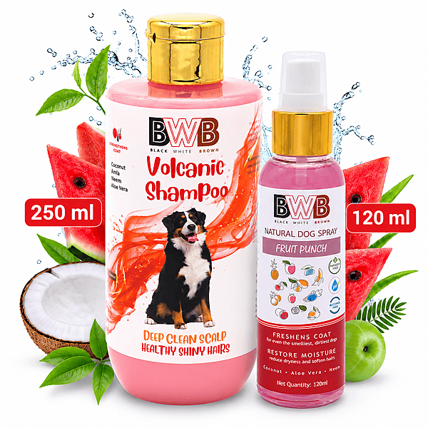 Volcanic (250 ml + deo) Volcanic (250 ml + deo)