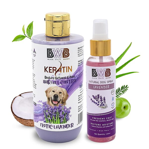 Keratin Shampoo (250 ml + deospray)- Lavender Keratin Shampoo (250 ml + deospray)- Lavender
