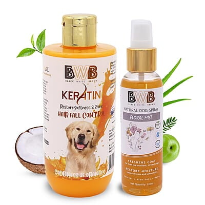 Keratin Shampoo (250 ml + deospray)- Orange