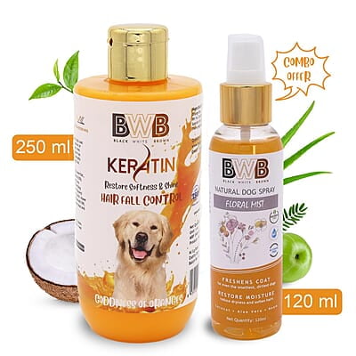 Keratin Shampoo (250 ml + deospray)- Orange Keratin Shampoo (250 ml + deospray)- Orange