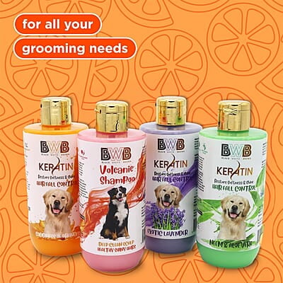 Keratin Shampoo (250 ml)- Orange Keratin Shampoo (250 ml)- Orange