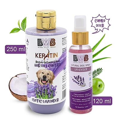 Keratin Shampoo (250 ml + deospray)- Lavender Keratin Shampoo (250 ml + deospray)- Lavender