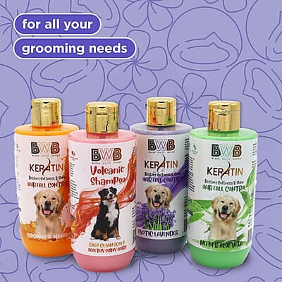Keratin Shampoo (250 ml)- Lavender Keratin Shampoo (250 ml)- Lavender