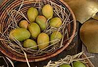 KESAR - 4 Kgs (3.9 to 4.1 Kgs) | Pre-Order | KESAR - 4 Kgs (3.9 to 4.1 Kgs) | Pre-Order |
