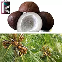 KHOBRA 125GM