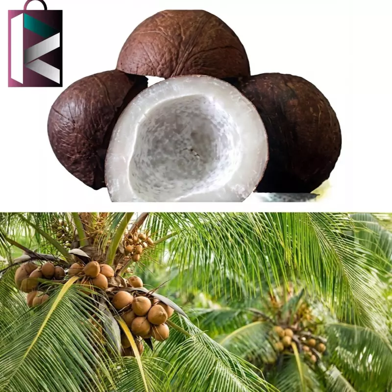 KHOBRA 2KG