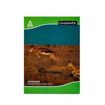 Classmate - King size (24cm x 18cm)-Flex Cover -172p -Notebook