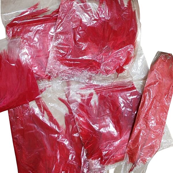 Feathers Red