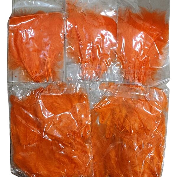 Feathers Orange Feathers Orange