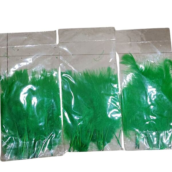 Feathers Light Green Feathers Light Green