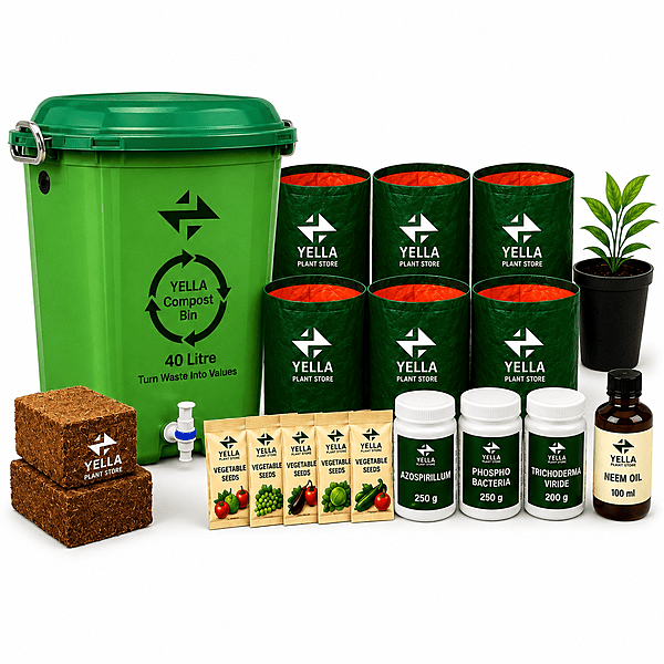 Yella Terrace Garden Kit + 40L Compost Bin | Complete Home Gardening Starter Kit for Beginners
