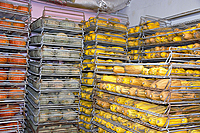 Temporary Farm Storage & Shed Leasing