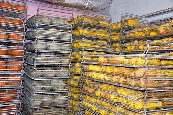 Temporary Farm Storage & Shed Leasing