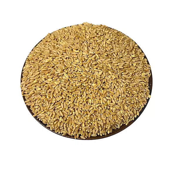 Wheat (Mullukodumai)