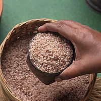 Kothamalli Samba