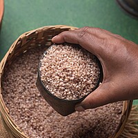 Kothamalli Samba