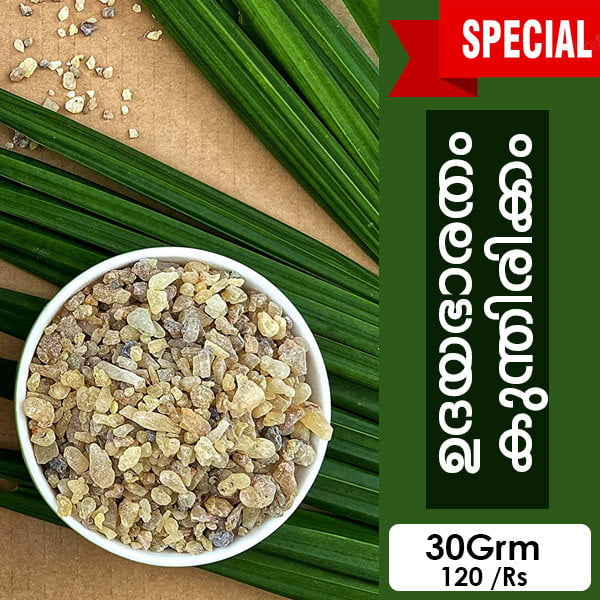 Special Kunthirikkam Special Kunthirikkam