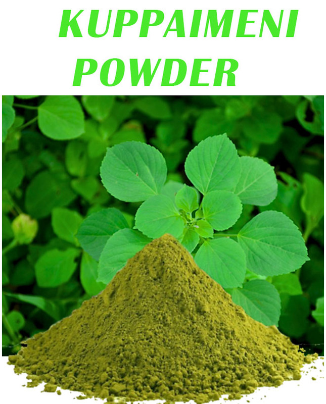 Kuppaimeni powder/Indian Nettle