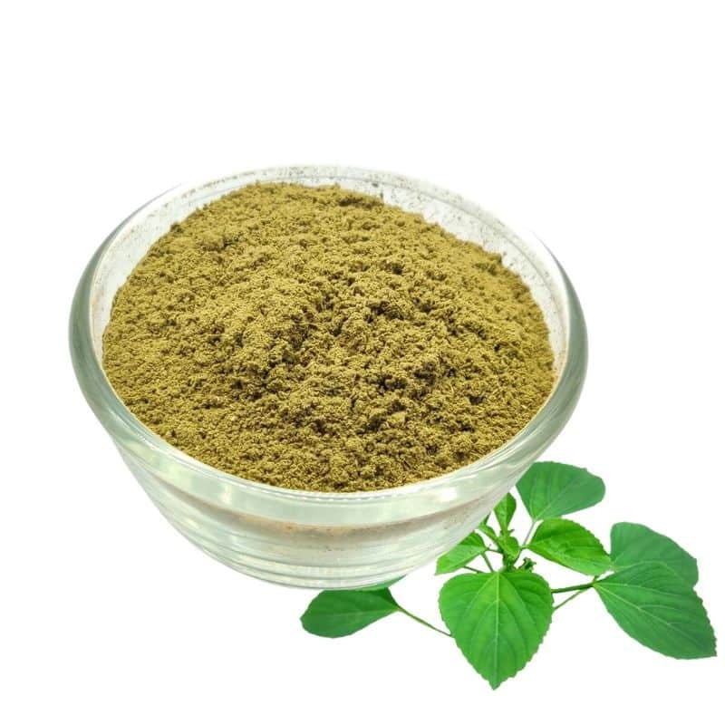 Kuppaimeni Podi / Indian Nettle Powder Kuppaimeni Podi / Indian Nettle Powder