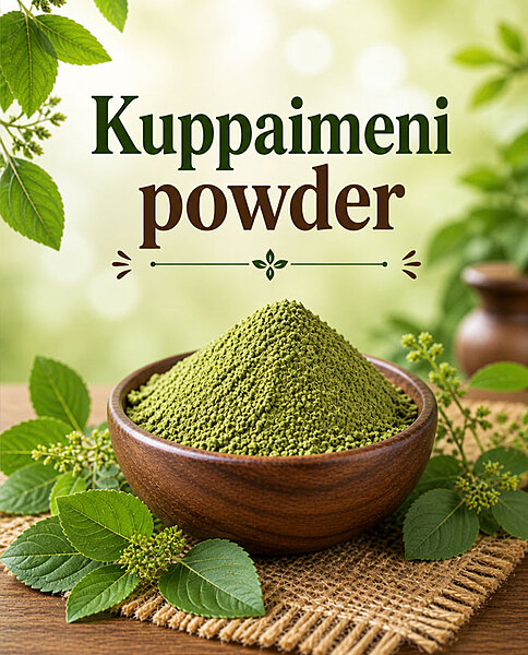 Kuppaimeni powder/Indian Nettle