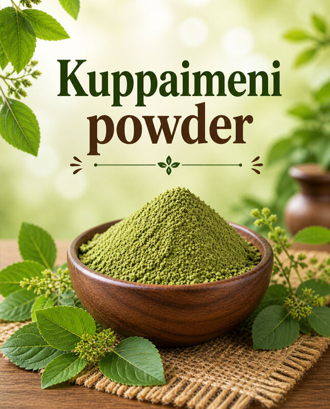 Kuppaimeni powder/Indian Nettle