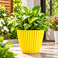8 Inch Muddy Planters | ECSHA