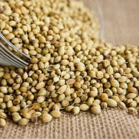 Coriander Seeds ధనియాలు విత్తనాలు Dhaniya (100gms, 500gms, 1kg)