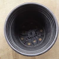 3.5" Black Pot (6pcs, 12pcs)