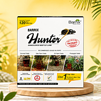Barrix Hunter® Rhinoceros Beetle Trap & Lure | Vetrivel Agro Services