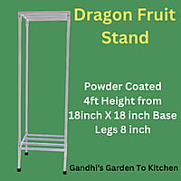 Stand for Dragon Fruit Plant