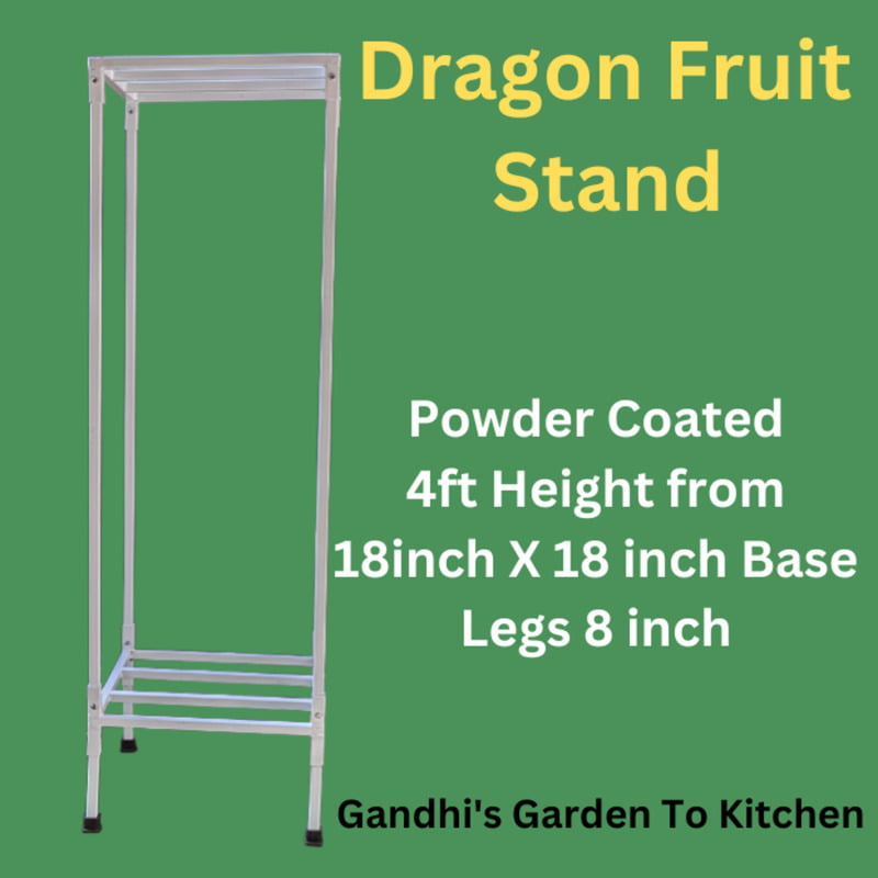 Stand for Dragon Fruit Plant