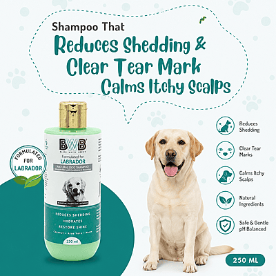 BWB LABRADOR SHAMPOO BWB LABRADOR SHAMPOO