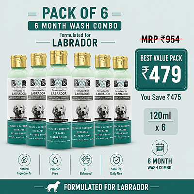 BWB LABRADOR SHAMPOO-120ML