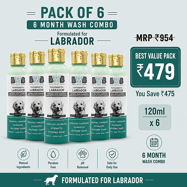 BWB LABRADOR SHAMPOO-120ML
