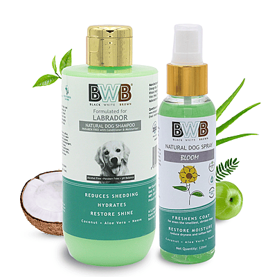 Labrador Shampoo (250 ml + deospray)