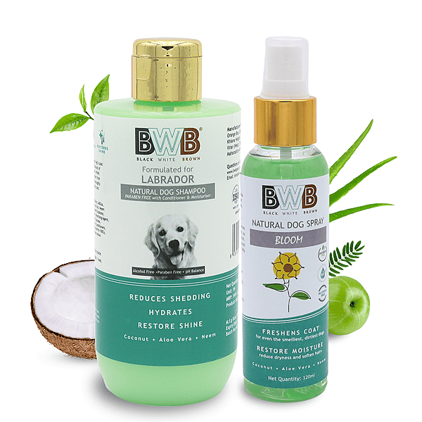 Labrador Shampoo (250 ml + deospray) Labrador Shampoo (250 ml + deospray)