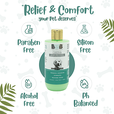 BWB LABRADOR SHAMPOO