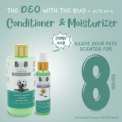 Labrador Shampoo (250 ml + deospray) Labrador Shampoo (250 ml + deospray)